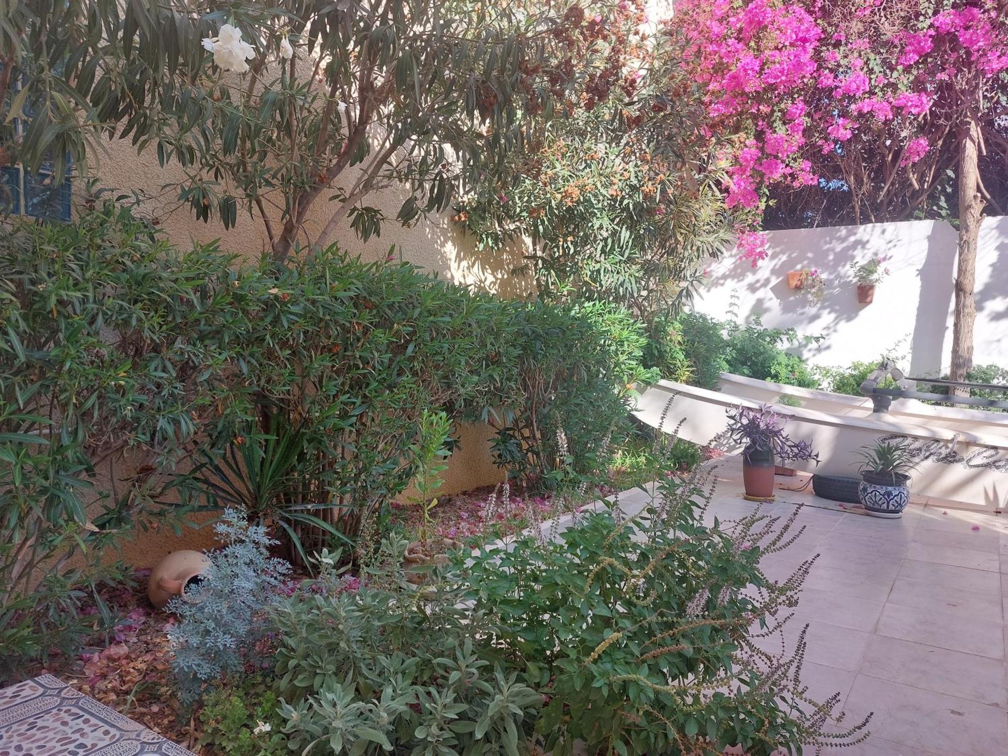 Villa Azaiiza Sousse Buitenkant foto