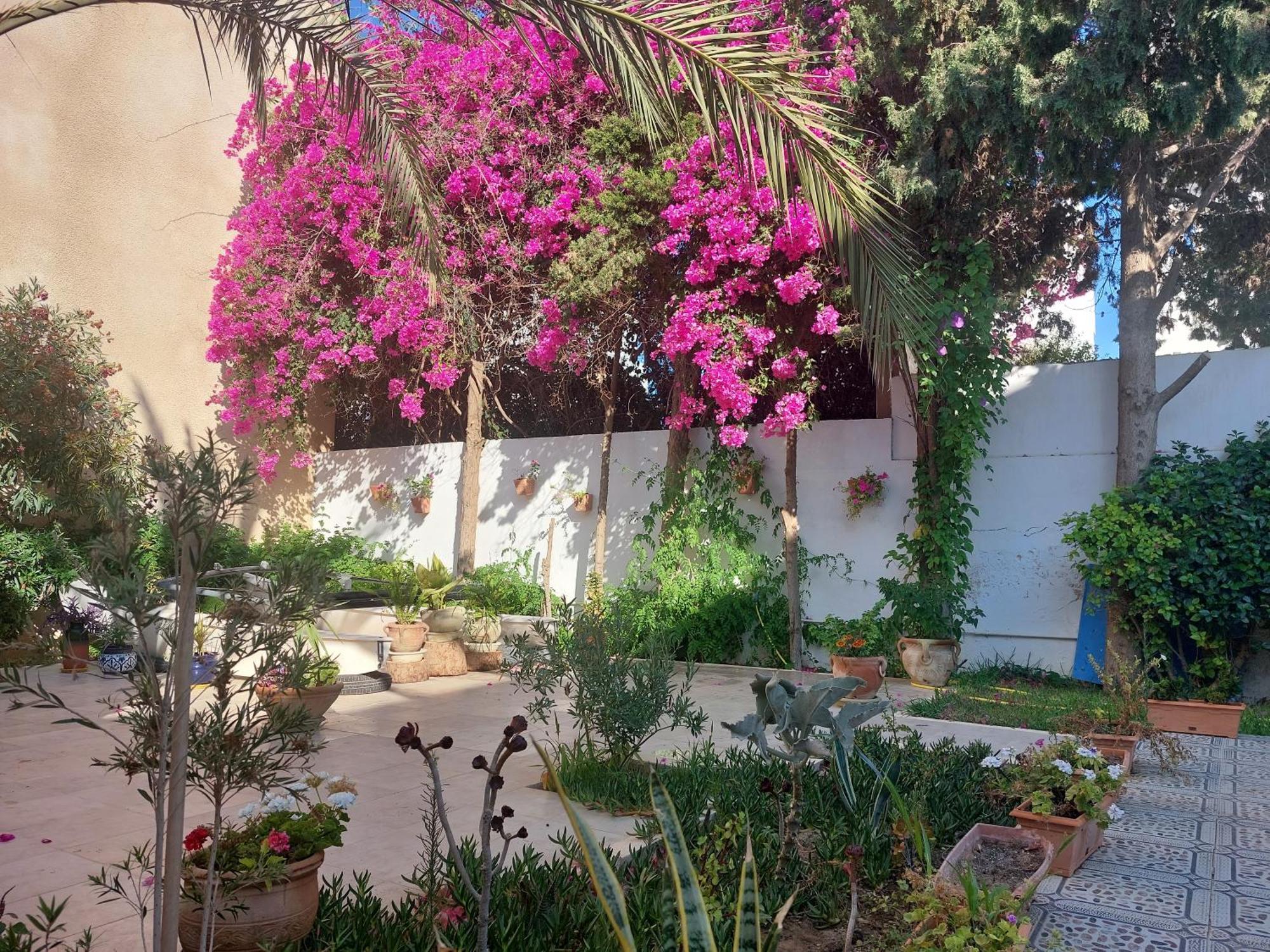 Villa Azaiiza Sousse Buitenkant foto